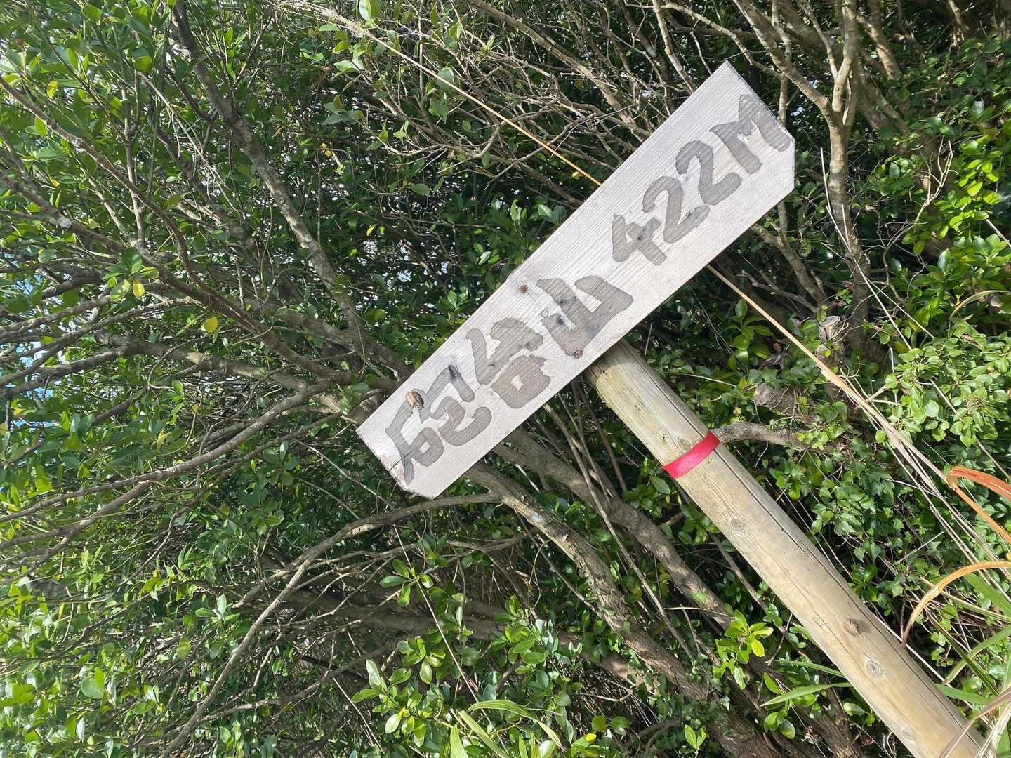 砲台山に登頂!!