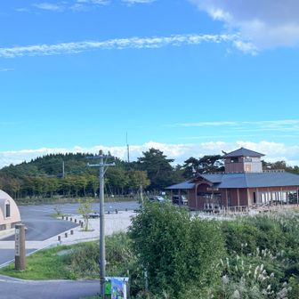 振り向いて竜宮城