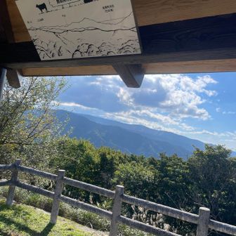 今日登ったところが看板に🪧🙌