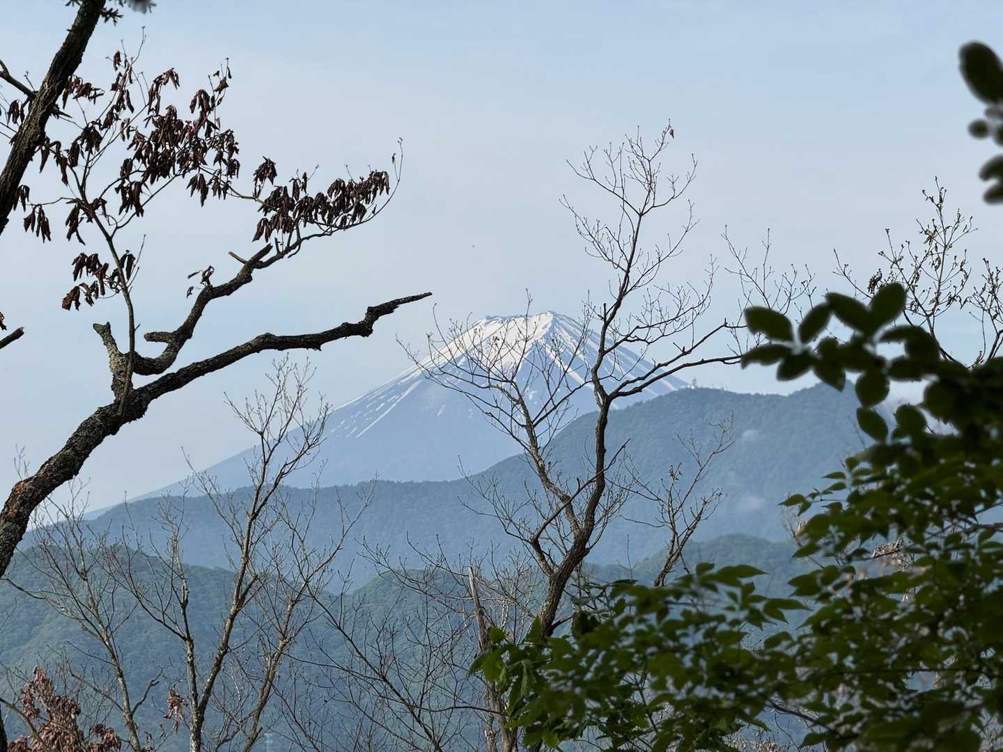 急登を振り返ると富士山🗻を見ることができました👀