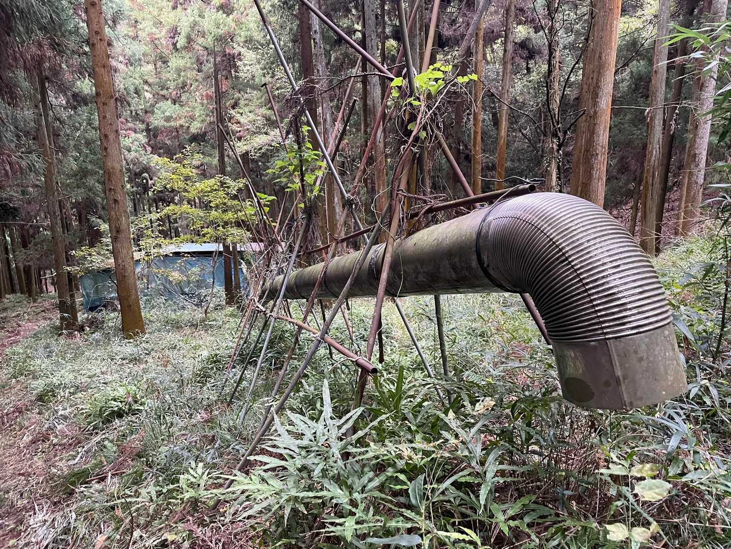 なが〜い煙突！