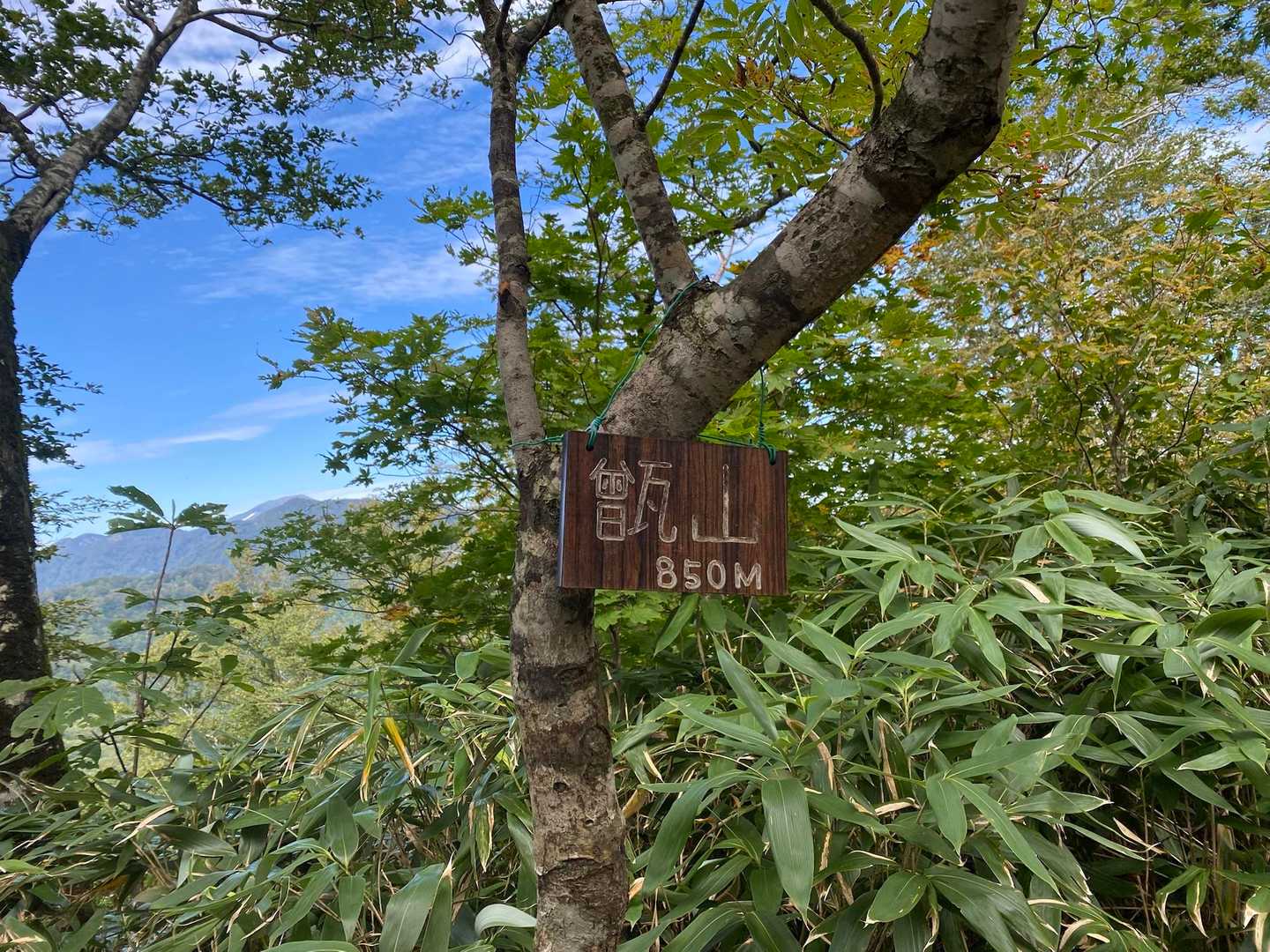 前森山林道登山口-男甑山-女甑山 往復コースの写真