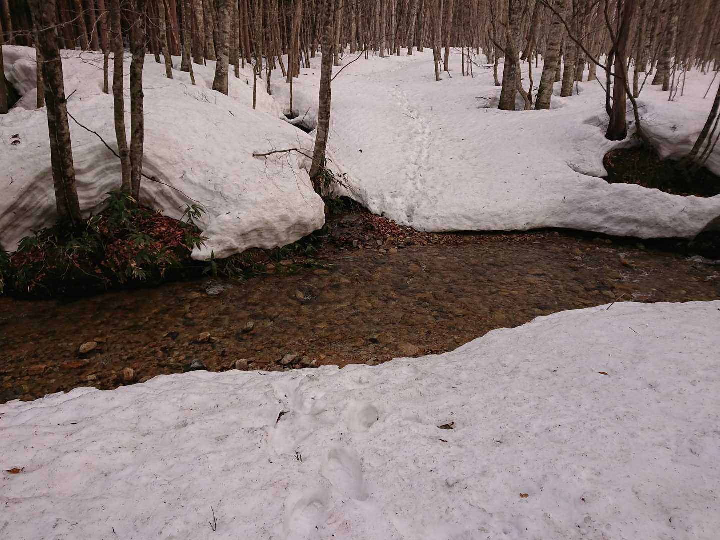 1つ目の渡渉