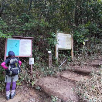 さて…ここから本格的登山の始まり