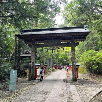 高尾山の霊気を感じる、背筋が伸びるような瞬間です
