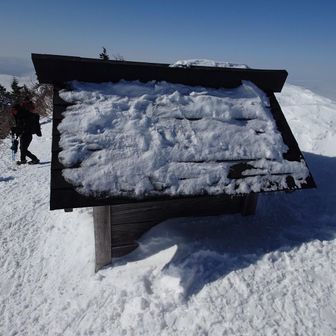 神祠？
かなり埋まっている様子