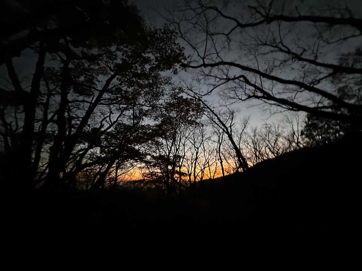 鍋割山登山口-鍋割山-火起山-荒山登山口 周回コースの写真