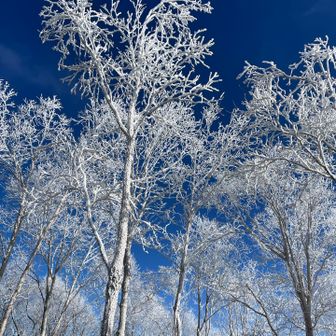 青空が広がりだすと、青と白の最高のコントラスト。