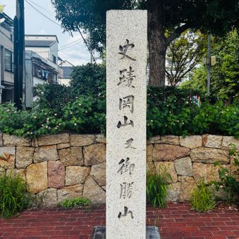 御勝山⛰️
