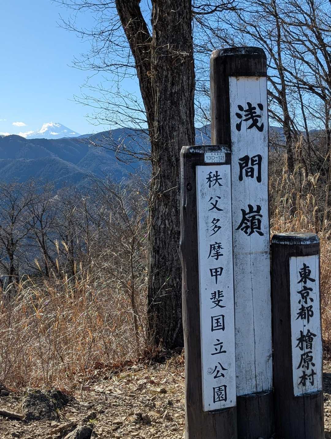 時坂峠-浅間嶺-天領山 往復コースの写真