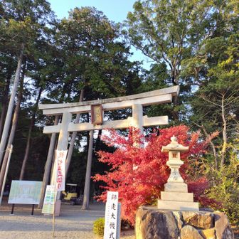 無事下山。
ありがとうございました🙏