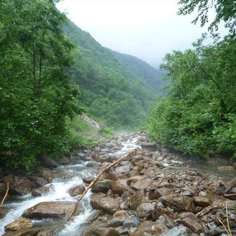 カムイエクウチカウシ山(日高山脈) / akadake5の登山データ | YAMAP