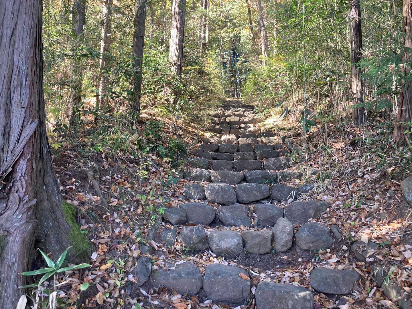小畑山-蕃山-西風蕃山-萱ヶ崎山 縦走コースの写真