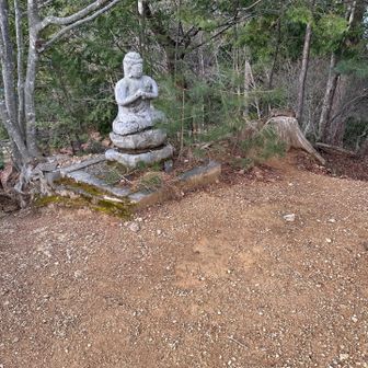 本日最後のピーク