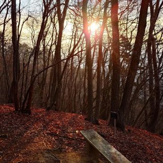 座って休憩してたら、ズボンになんかついてる…と思ったらマダニでした😱知らずに上から押してたみたいで半分潰れてて💦皮膚には届いてなかったけど、ズボンに食付きすごくてなかなか離れませんでした