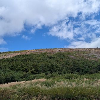山頂側は晴れてますが、山頂につく頃は…💦