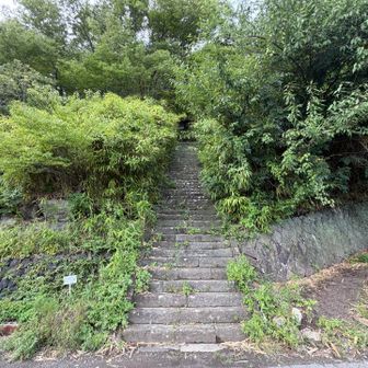 虚空蔵山登山口まで下山