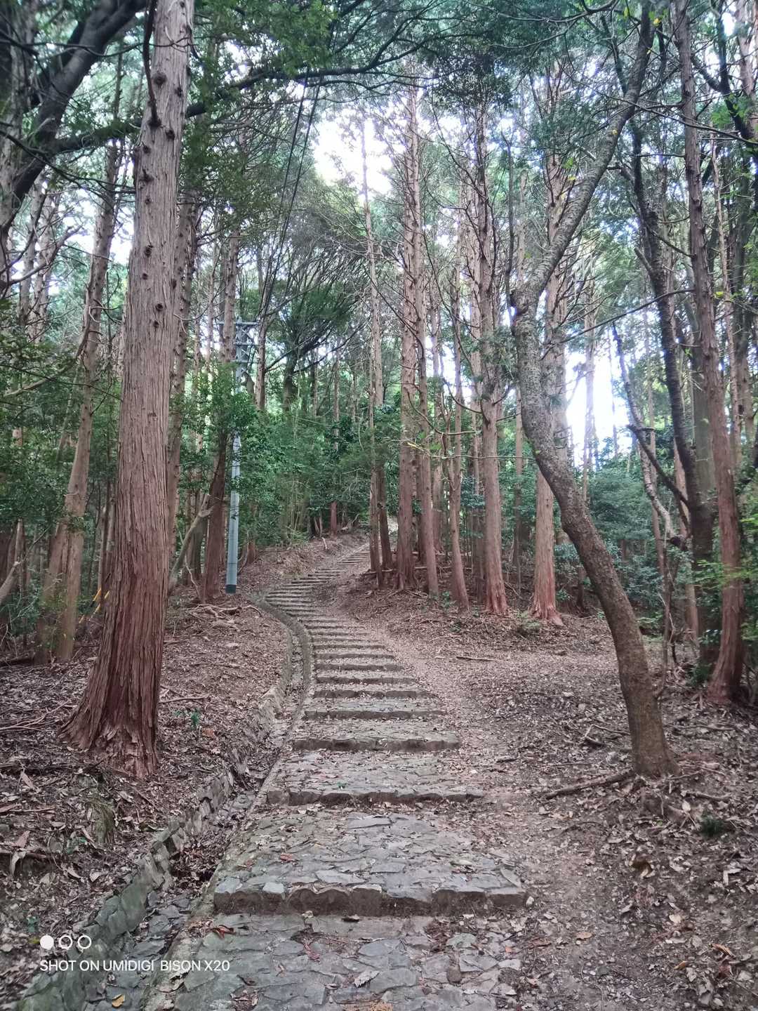 村積山 往復コースの写真