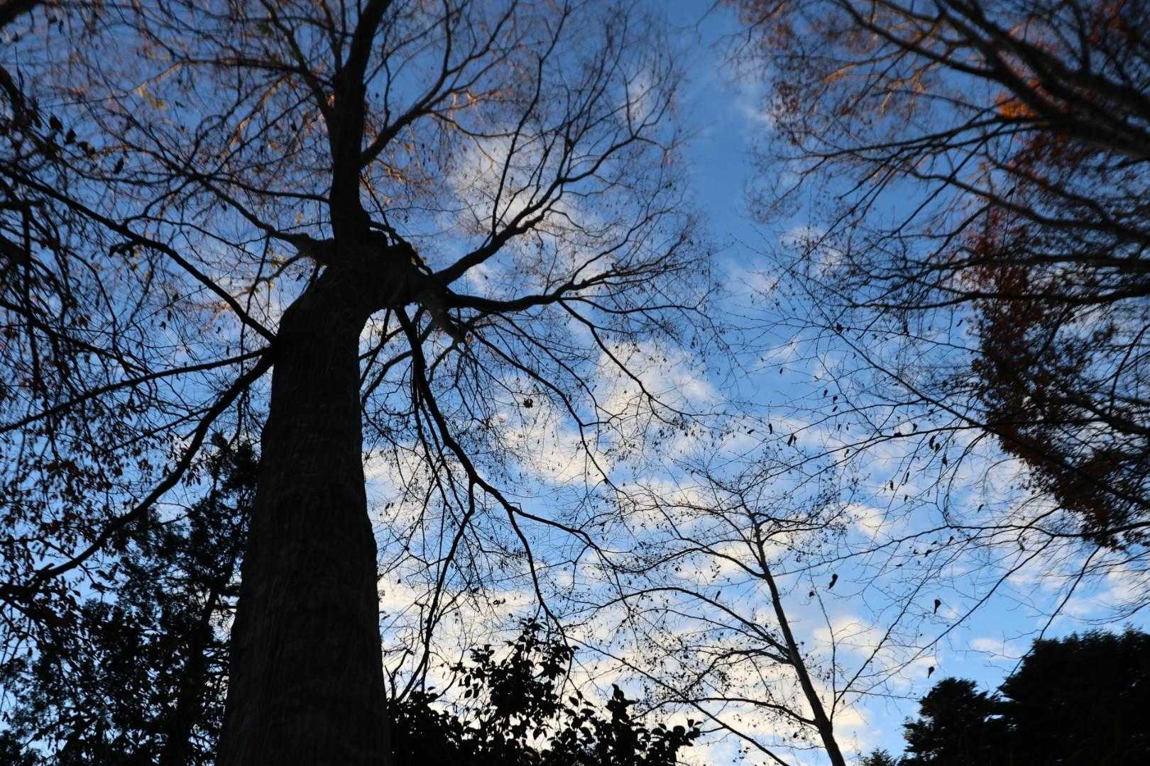 やっぱり太平洋側は青空だね