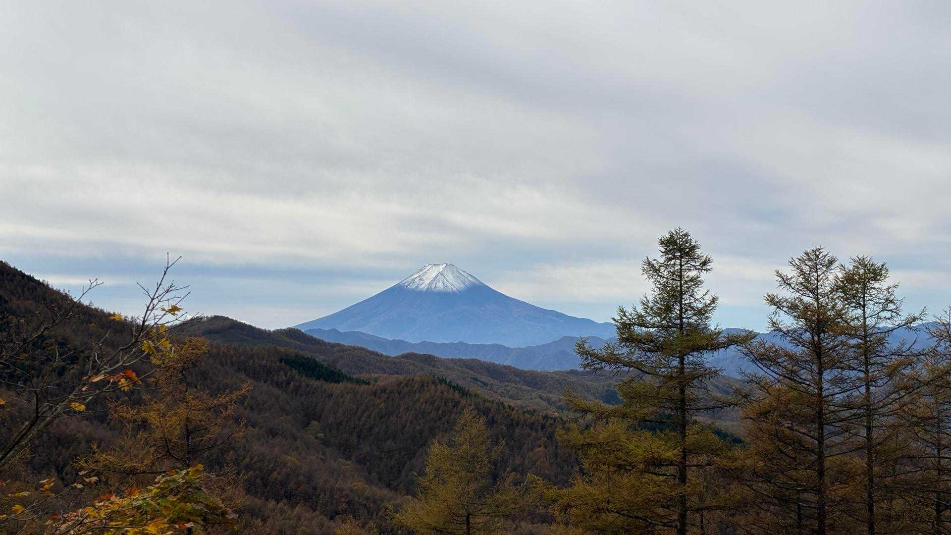 30分ぐらいで林道に出て、富士山ビューポイントへ！今シーズン初めて見た気がする雪を被った
富士山🗻