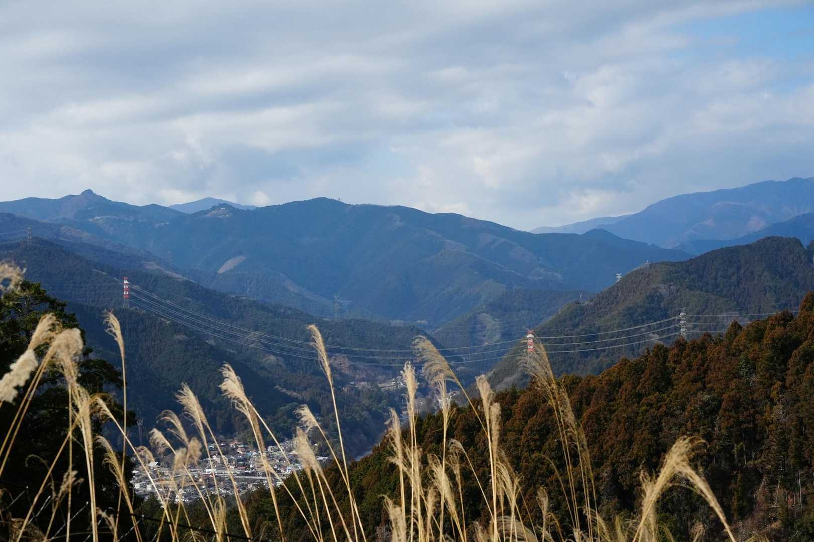木々の合間から綺麗な景色見えました。