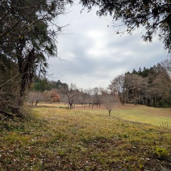 登り口の景色！