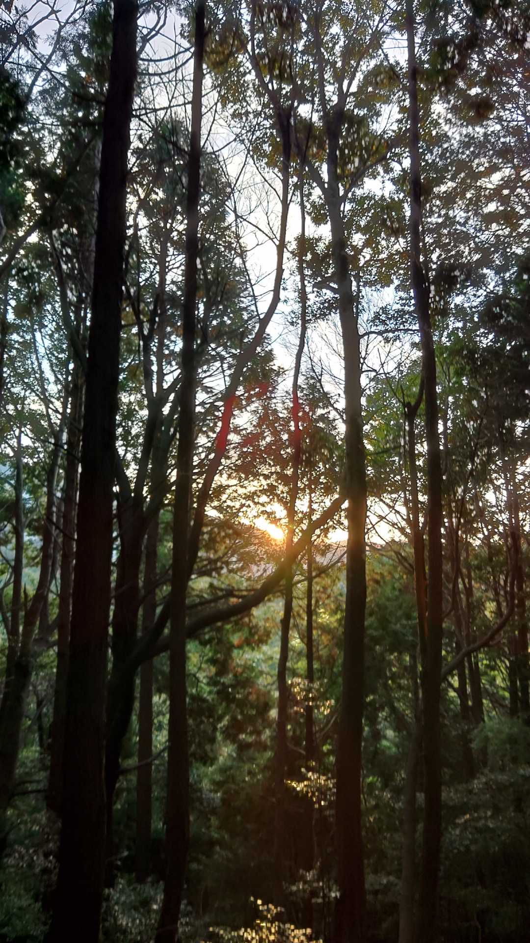 白木峠-浮嶽 往復コースの写真