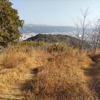 ゴール見えた。