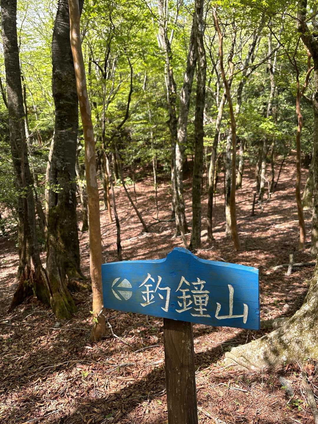 正規ルートに合流して