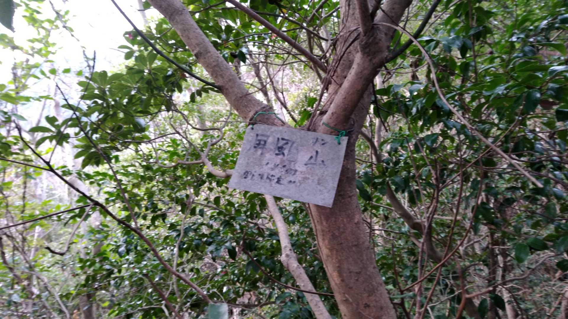 屛風山　頂上。(123m)