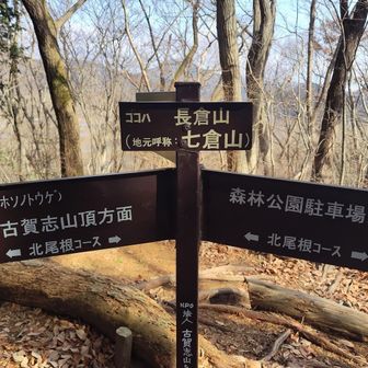 長倉山の山頂。標識の後ろのルートへ🚶