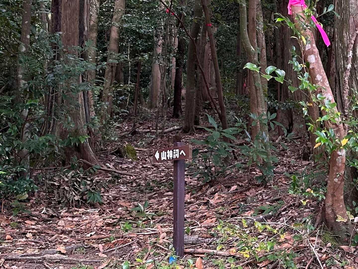 登山道を左に行けば、祠があるので寄ってみます