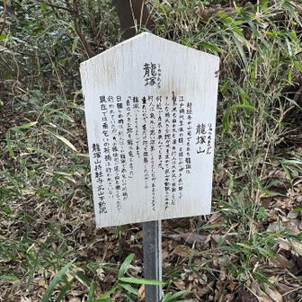 りゅうちょう、と読むのか。