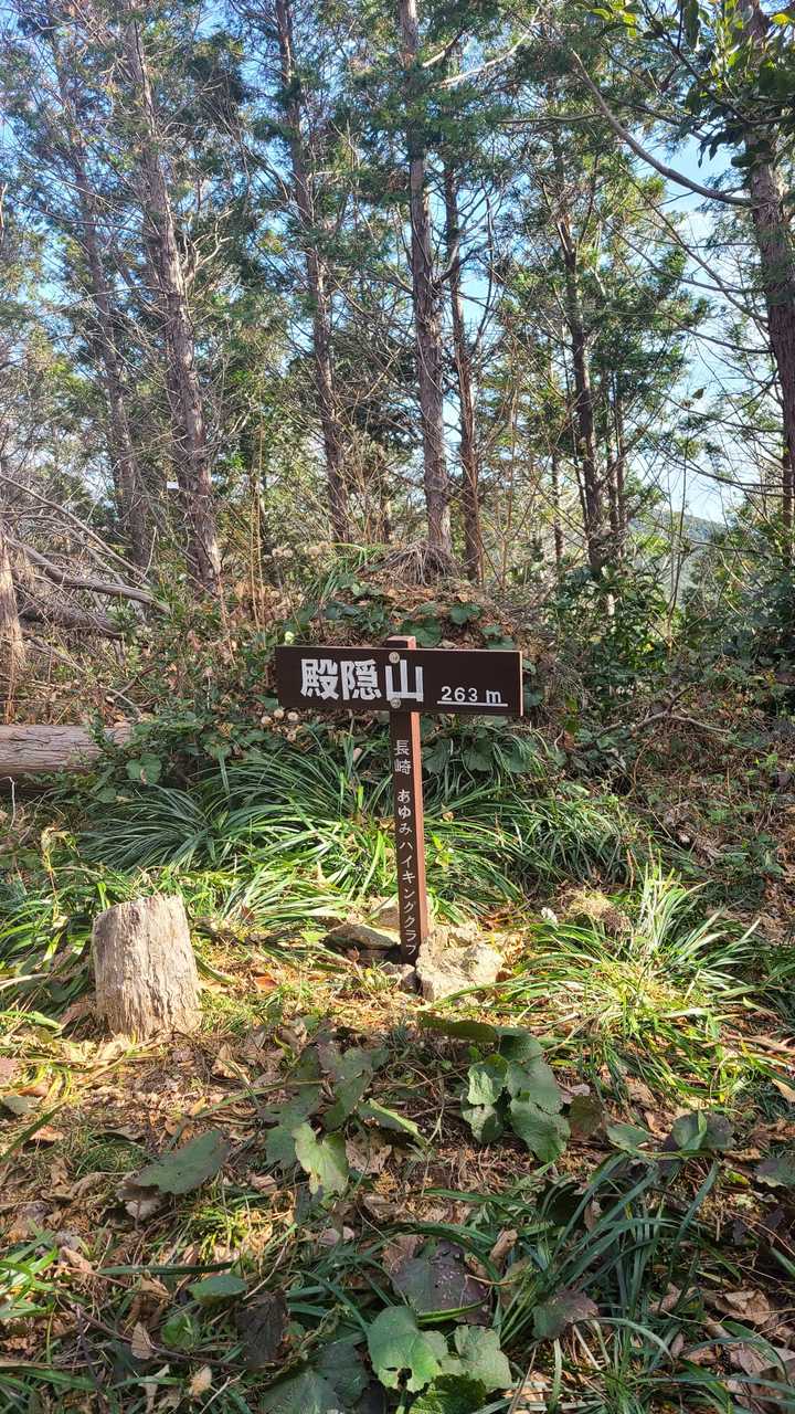 着いた～殿隠山263m