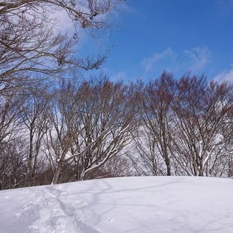 980m山頂(三角点はこちらにある)