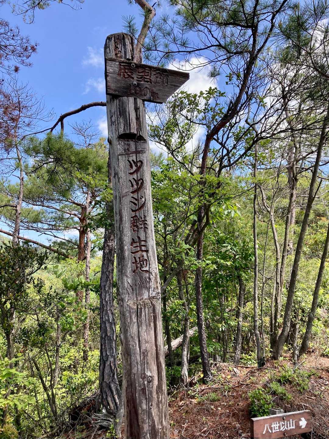 ここにも👀木彫りで。字も素晴らしい👍