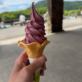 ブルベリーソフト
疲れた体に甘い物うめぇ
