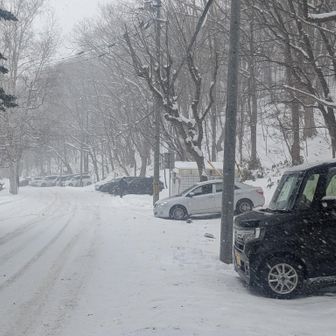 駐車場に戻って来ました。
天気が悪いけど、たくさんの車が停まっています🚘️