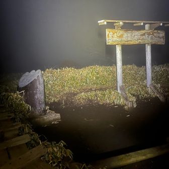 丹沢山に到着✌️

風は強さを増し、ガスは一層濃くなって行きます💦