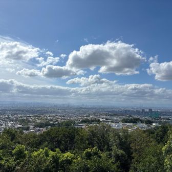 展望台からの眺め