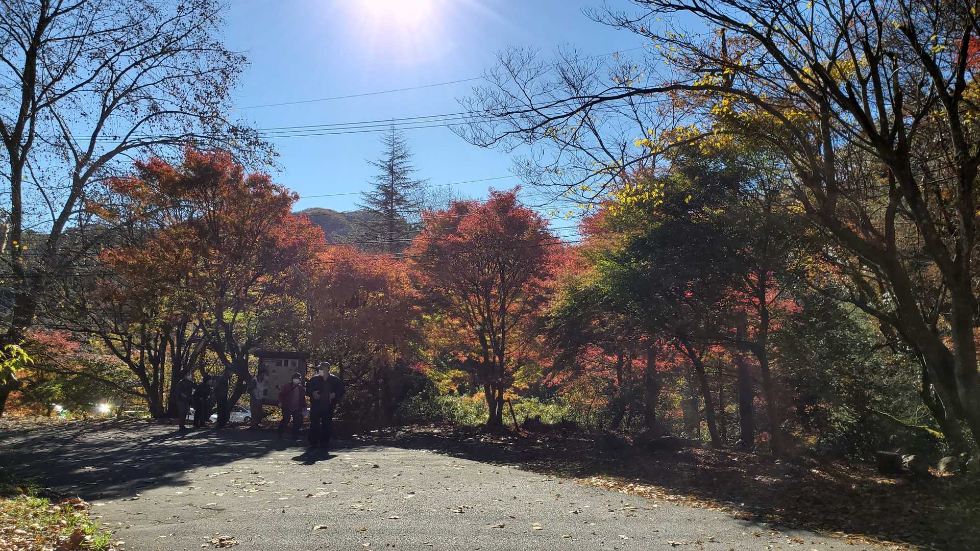 花貫駐車場発着｜花貫渓谷周回コースの写真