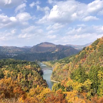 ケロケロ🐸🐸🐸