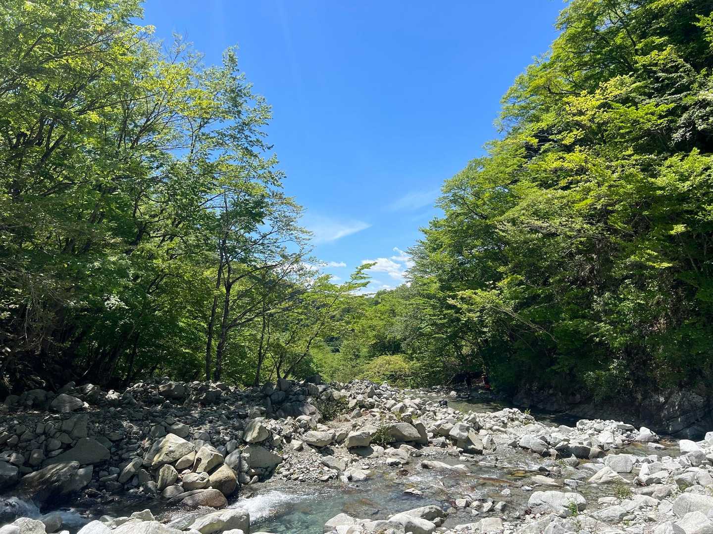 西丹沢ビジターセンターバス停-ツツジ新道入口-檜洞丸-テシ 周回コースの写真