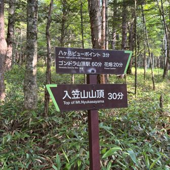 山頂でひと休みして、降ります。八ヶ岳ビューポイントへ