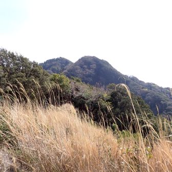 大小？鷲頭山を振り返ります。双耳峰みたいでした。