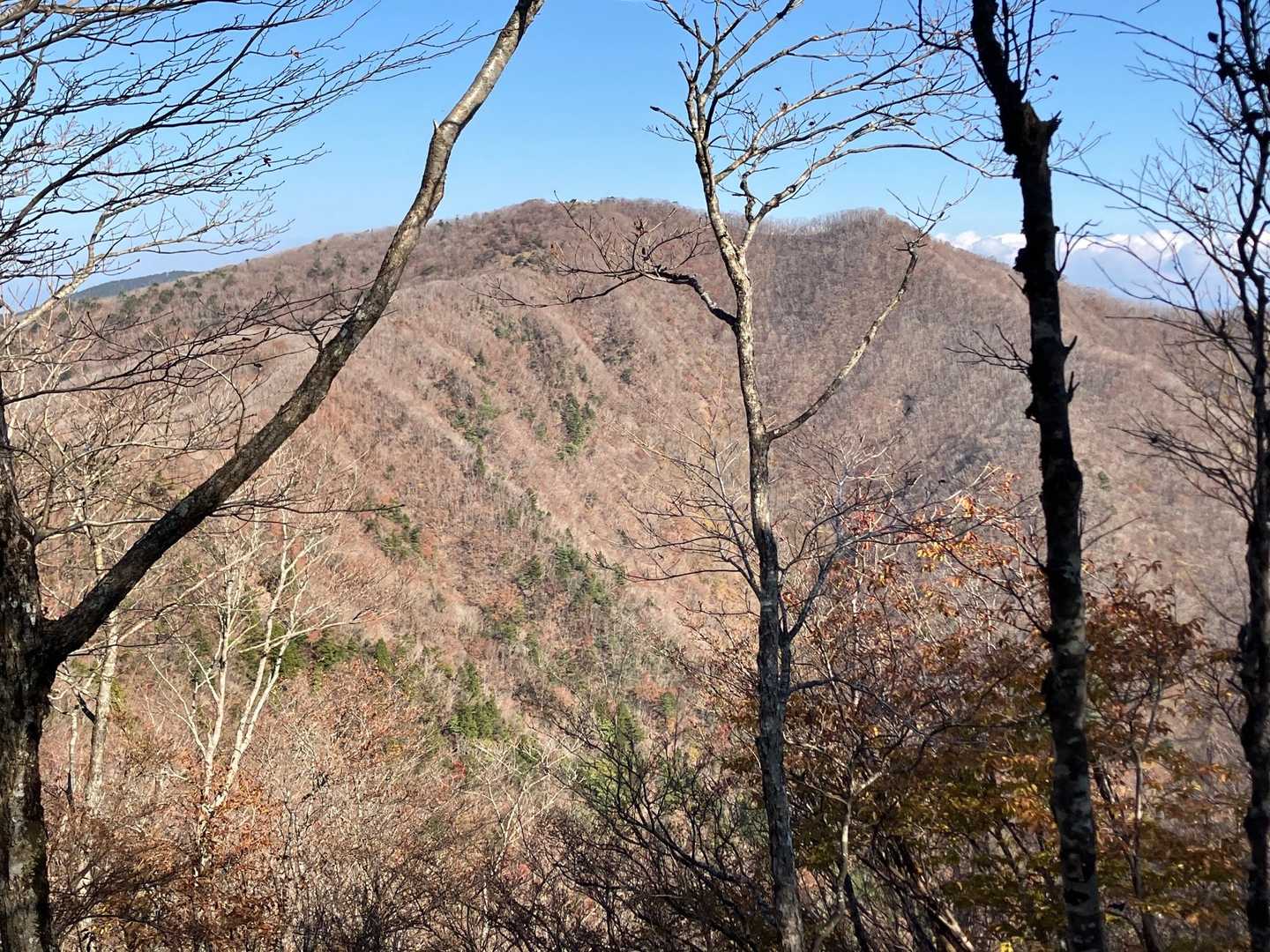伯母子岳見えた！あそこまでの稜線歩きに期待膨らむ