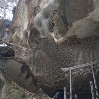 奥に祠があって参道みたいになっていました