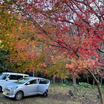 古処山までの方はまだの様子…🍁🍁🍁