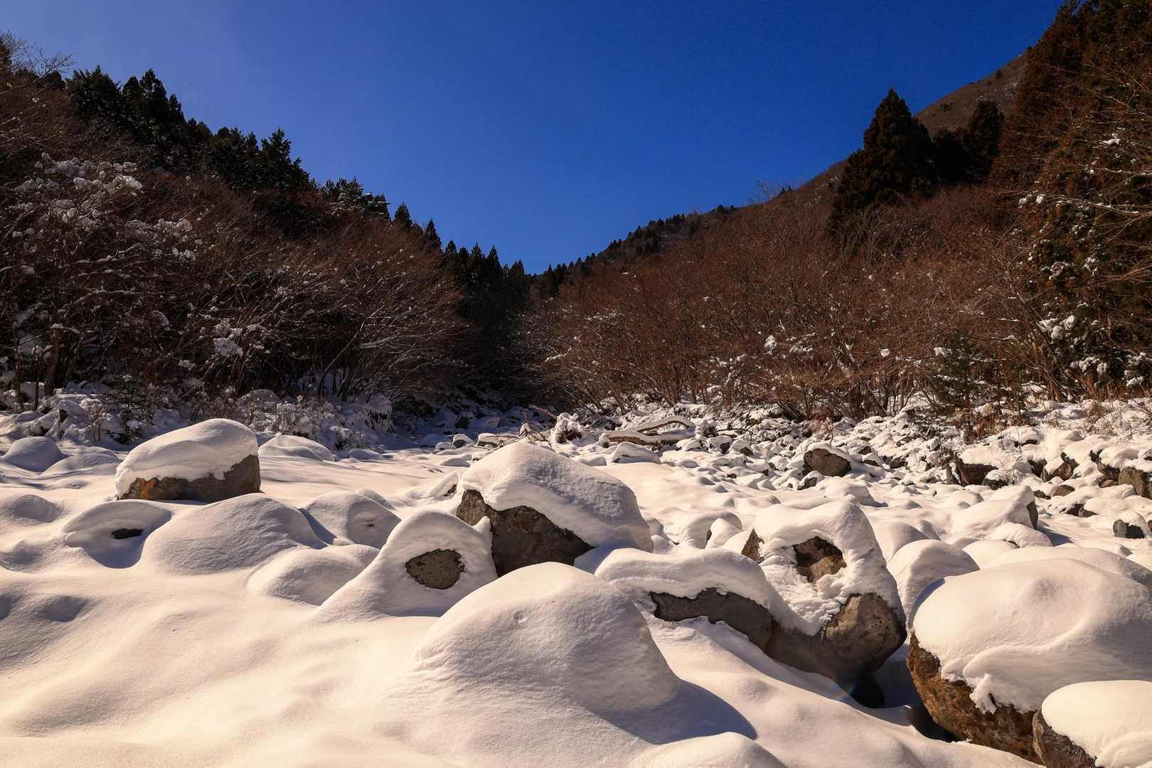 枯れた沢ももふもふ⛄️