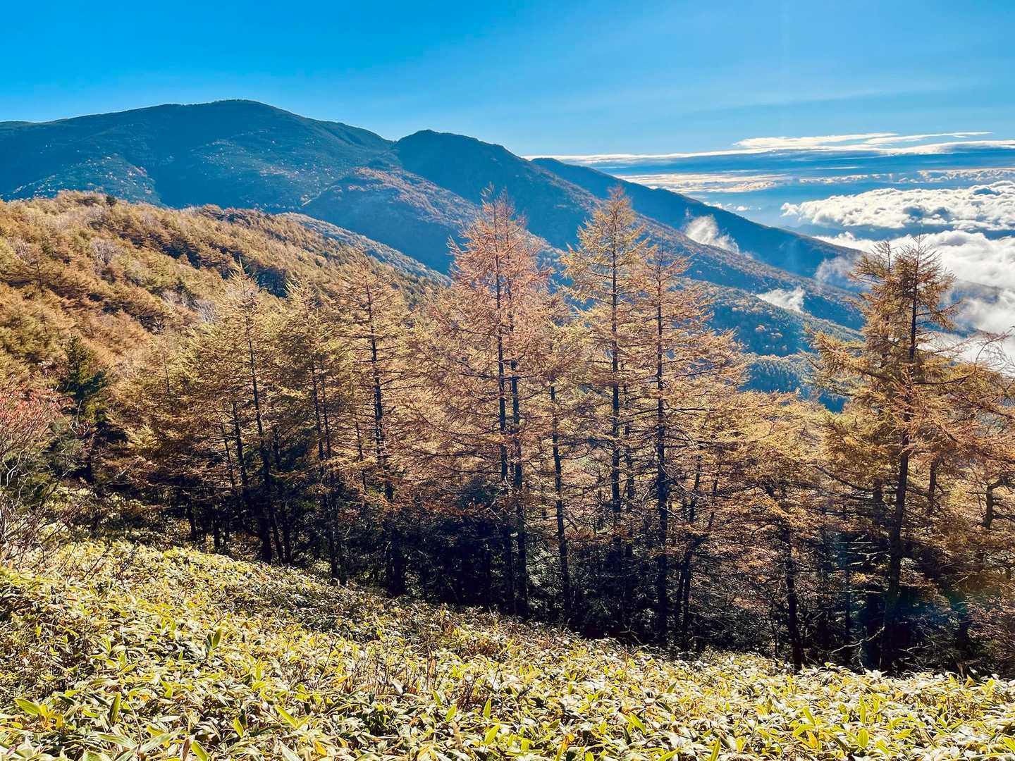 車坂峠-高峰山 周回コースの写真